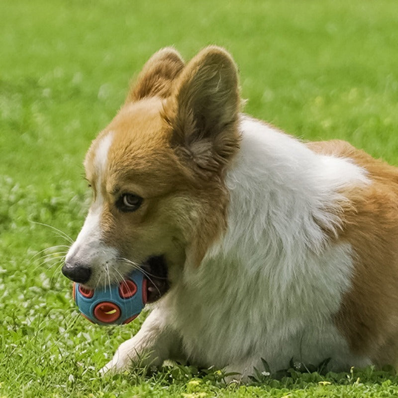 Best selling interactive bionic anemone training sound lighting dog toy for pets2