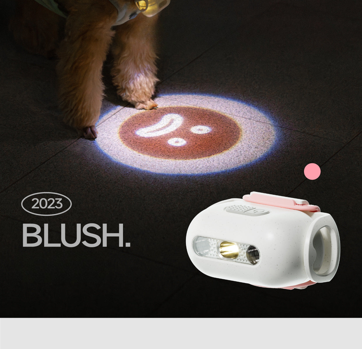 Pet Luminous Collar for nighttime visibility7
