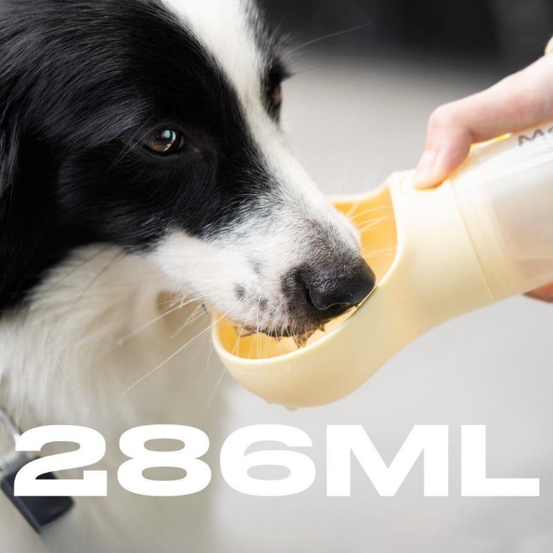 Dog outdoor portable water cup for pets3