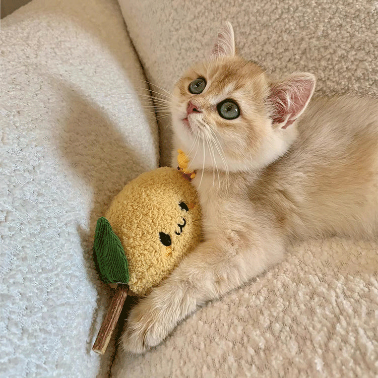 Cute Lemon-shaped Cat Toy Cat Chewing Stick Cat Toy Catnip Pet Toy for Cats