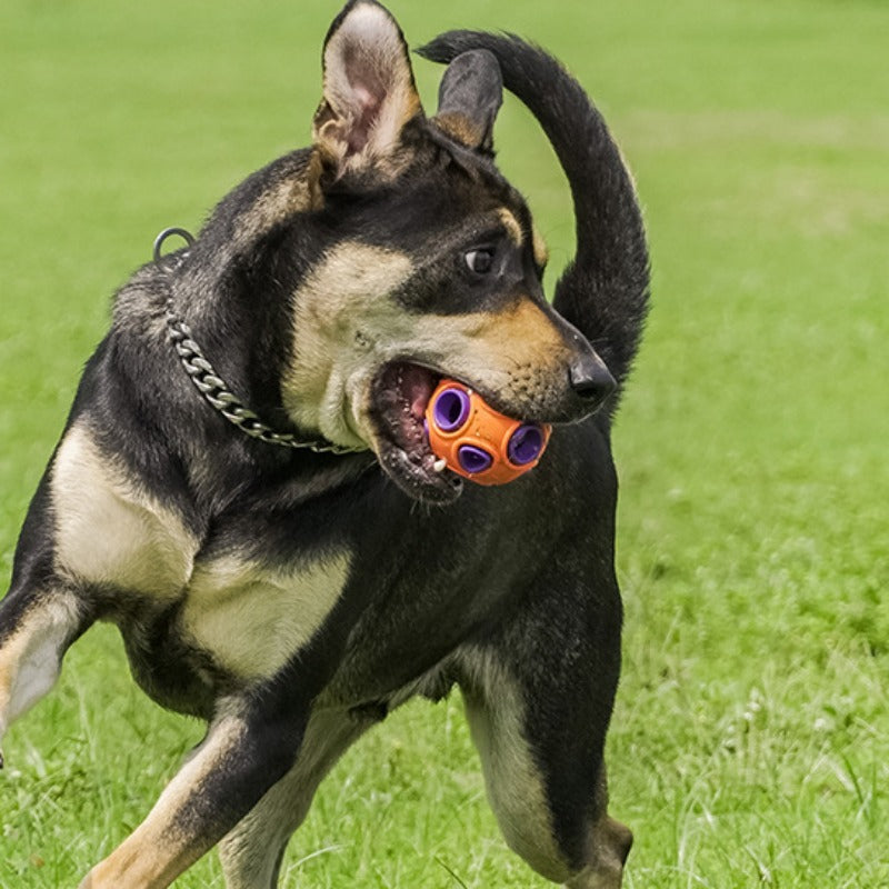 Best selling interactive bionic anemone training sound lighting dog toy for pets7