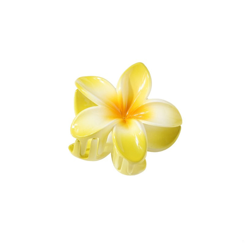 Colorful Plumeria Hair Clip