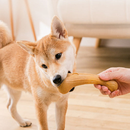 Best selling 2 for $14.99 dog chewing toy pet supplies6