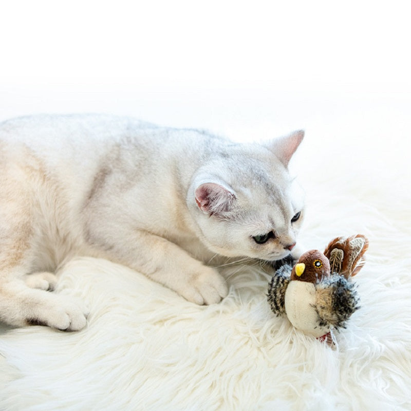 Best selling interactive electronic cat toy 2 for $19.897