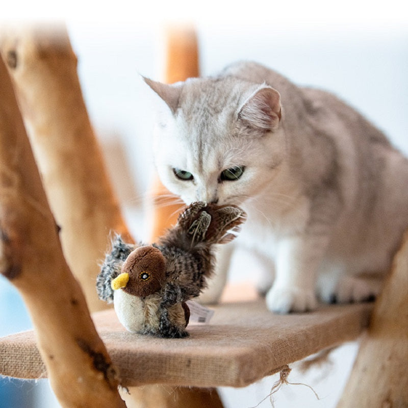 Best selling interactive electronic cat toy 2 for $19.895