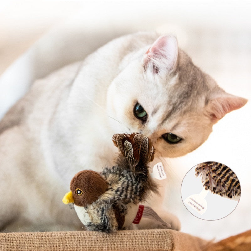 Best selling interactive electronic cat toy 2 for $19.898