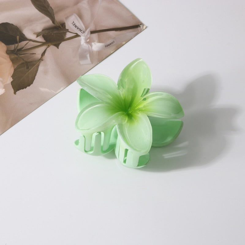 Colorful Plumeria Hair Clip