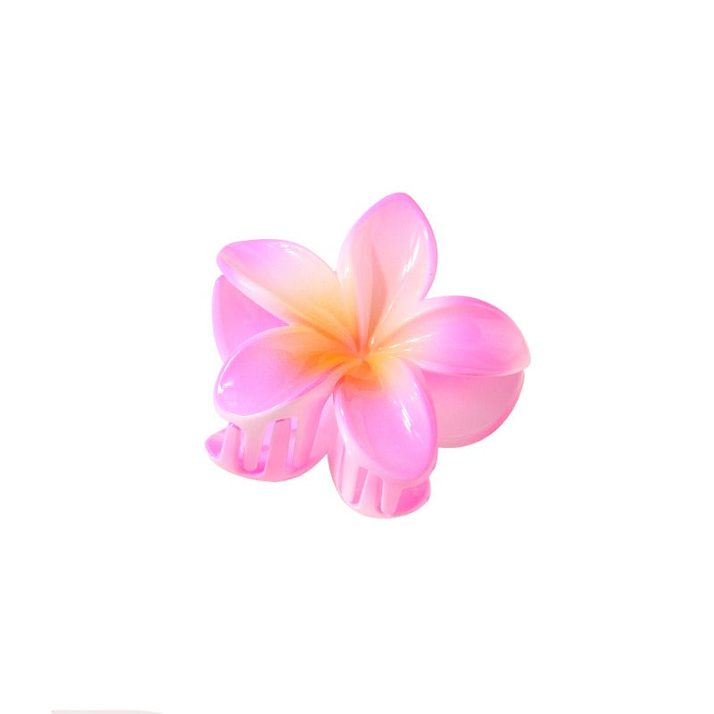 Colorful Plumeria Hair Clip
