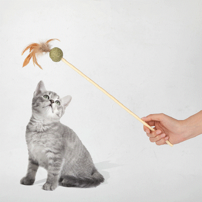 Best selling natural catnip stick for cats0
