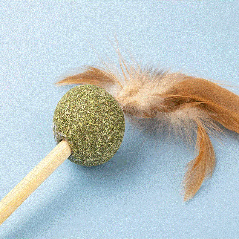 Best selling natural catnip stick for cats1