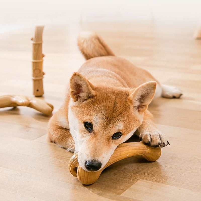 Best selling dog chewing toy pet supplies8